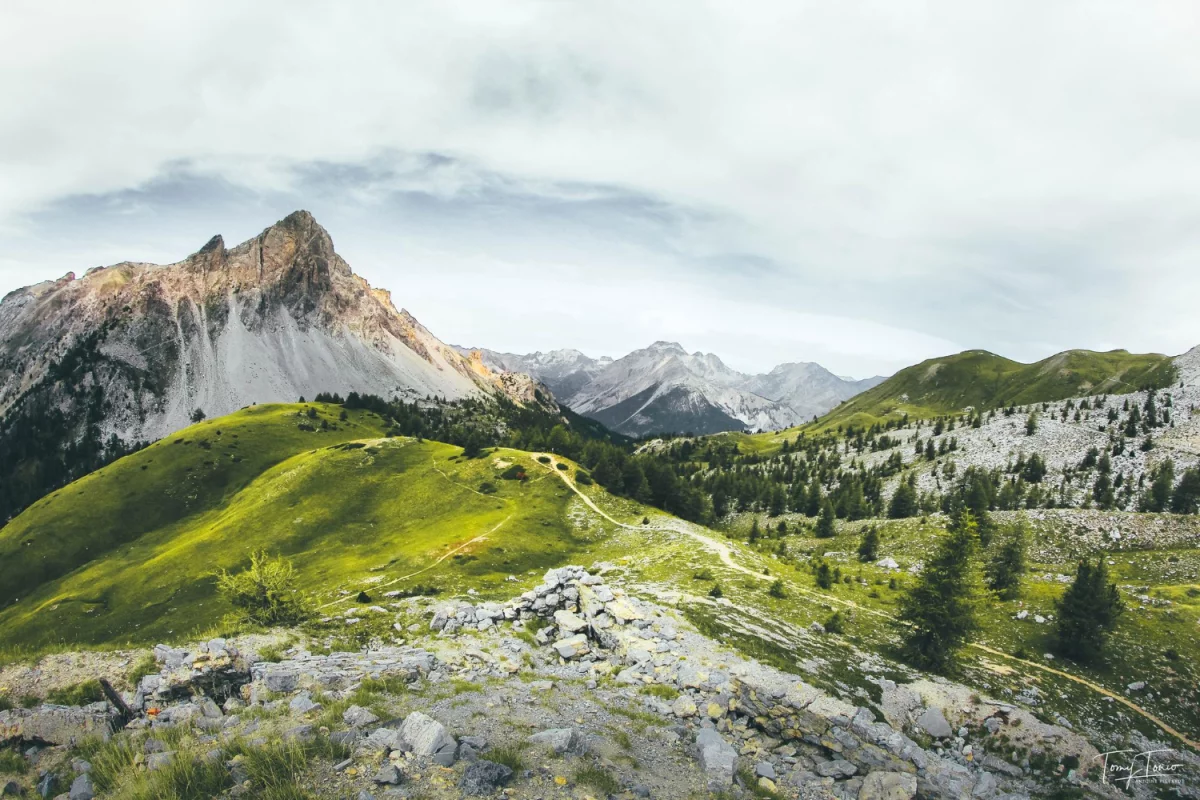 zobaczyć pokaz tańca dobrze?