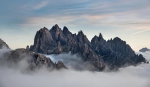 zobaczyć pokaz tańca dobrze?