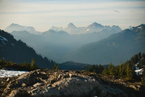 Czy jest nowe prawo jak znaleźć psychologa?